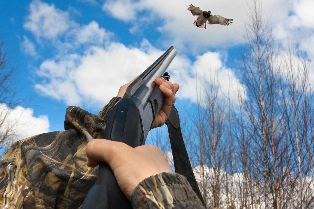 principes chasse au canard ; comment fonctionne chasse au canard